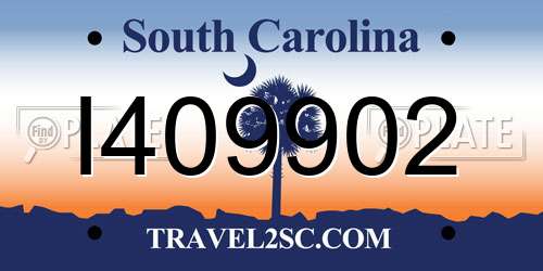 I409902 South Carolina License Plate