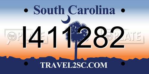 I411282 South Carolina License Plate