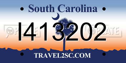 I413202 South Carolina License Plate