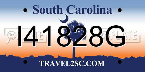 I41828G South Carolina License Plate