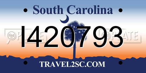 I420793 South Carolina License Plate