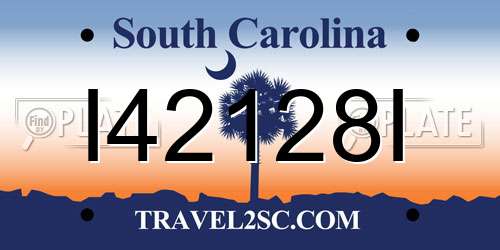 I42128I South Carolina License Plate