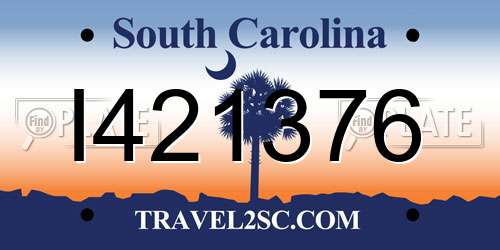 I421376 South Carolina License Plate
