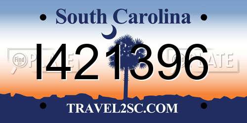 I421396 South Carolina License Plate