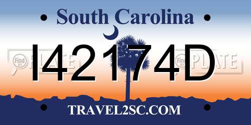 I42174D South Carolina License Plate