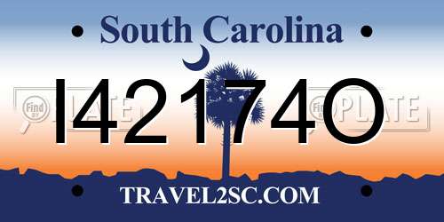 I42174O South Carolina License Plate