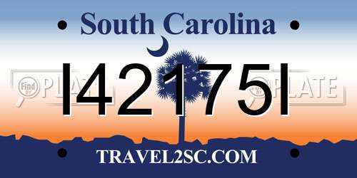 I42175I South Carolina License Plate