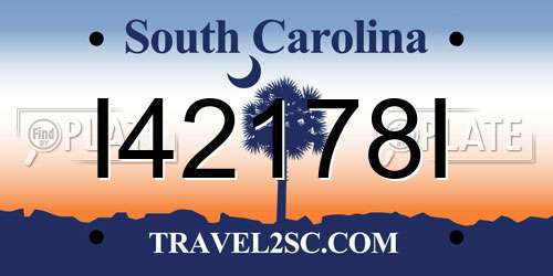 I42178I South Carolina License Plate
