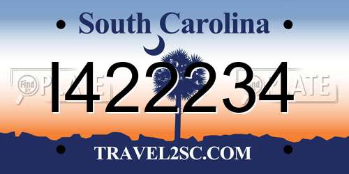 I422234 South Carolina License Plate
