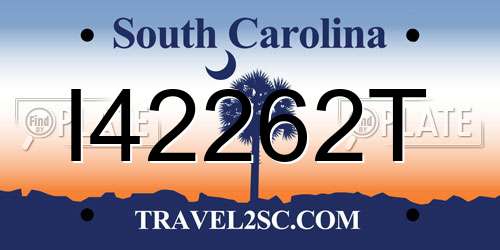 I42262T South Carolina License Plate
