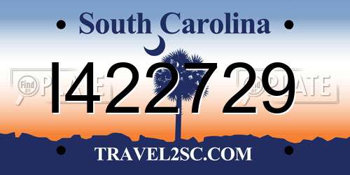 I422729 South Carolina License Plate
