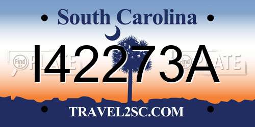 I42273A South Carolina License Plate