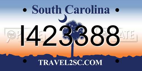 I423388 South Carolina License Plate