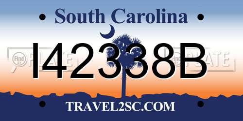 I42338B South Carolina License Plate