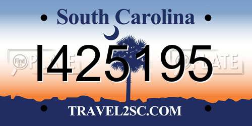 I425195 South Carolina License Plate