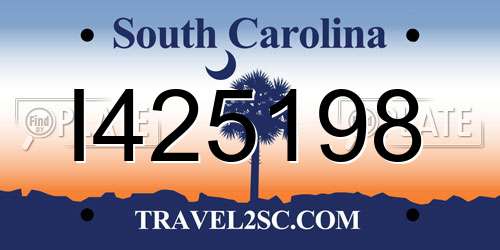 I425198 South Carolina License Plate