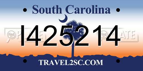 I425214 South Carolina License Plate
