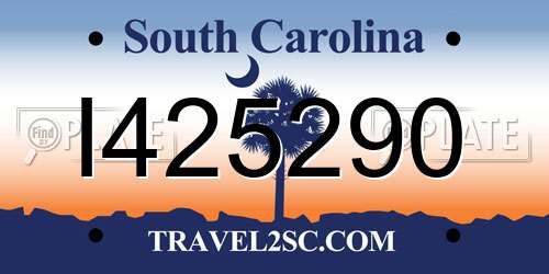 I425290 South Carolina License Plate