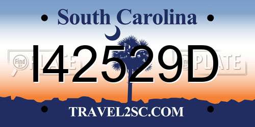 I42529D South Carolina License Plate