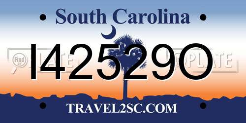 I42529O South Carolina License Plate