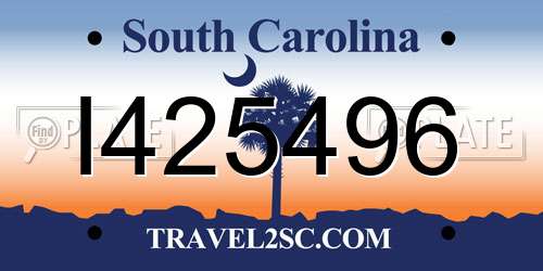 I425496 South Carolina License Plate