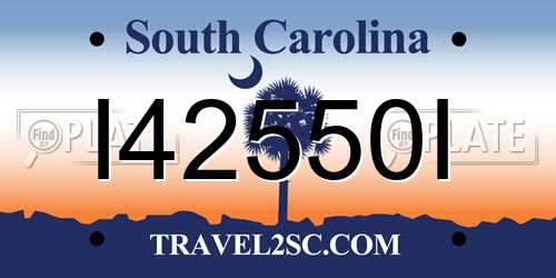 I42550I South Carolina License Plate