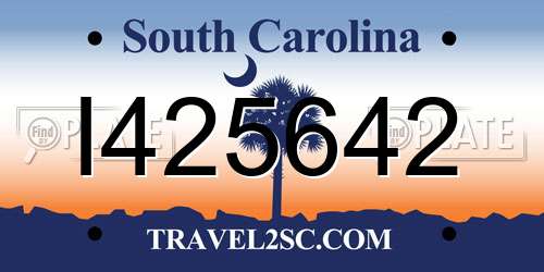 I425642 South Carolina License Plate