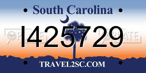 I425729 South Carolina License Plate