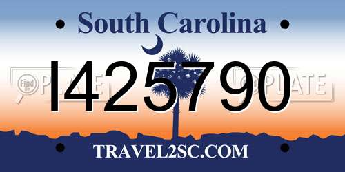 I425790 South Carolina License Plate