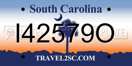 I42579O South Carolina License Plate