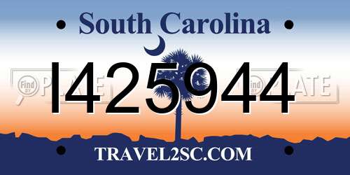 I425944 South Carolina License Plate