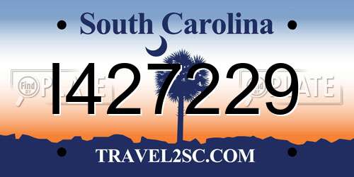 I427229 South Carolina License Plate