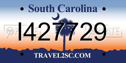 I427729 South Carolina License Plate