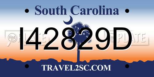 I42829D South Carolina License Plate