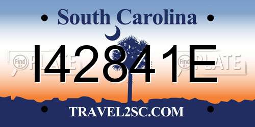 I42841E South Carolina License Plate