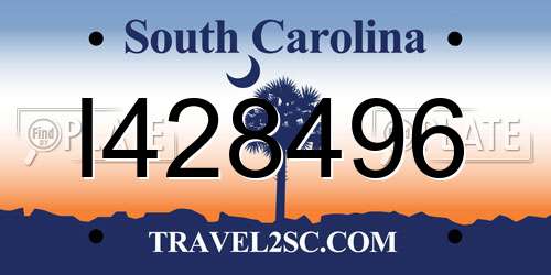 I428496 South Carolina License Plate