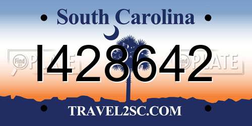 I428642 South Carolina License Plate