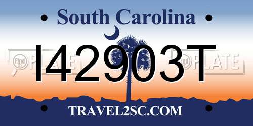 I42903T South Carolina License Plate