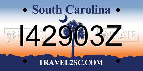 I42903Z South Carolina License Plate