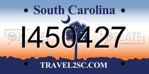 I450427 South Carolina License Plate