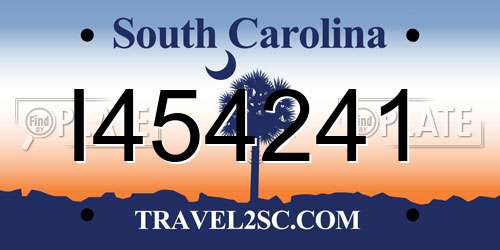 I454241 South Carolina License Plate