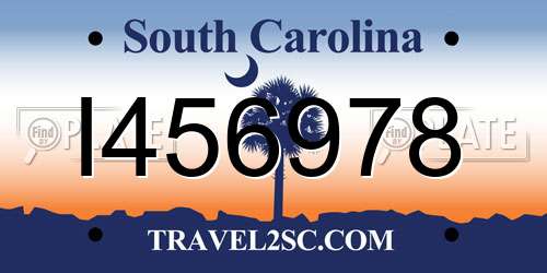I456978 South Carolina License Plate