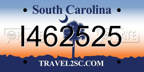 I462525 South Carolina License Plate