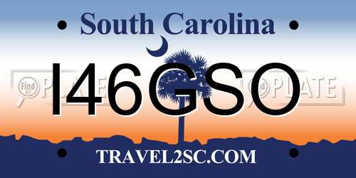 I46GSO South Carolina License Plate