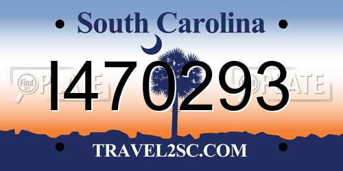 I470293 South Carolina License Plate