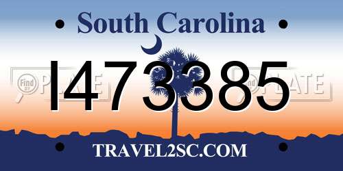 I473385 South Carolina License Plate
