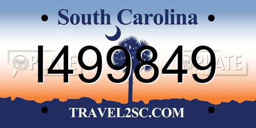 I499849 South Carolina License Plate