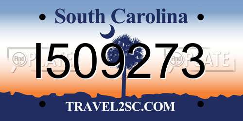 I509273 South Carolina License Plate