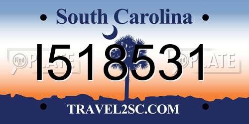 I518531 South Carolina License Plate