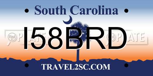I58BRD South Carolina License Plate